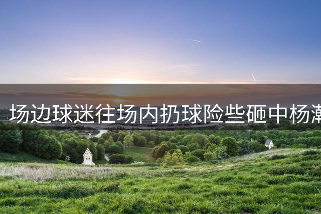 场边球迷往场内扔球险些砸中杨瀚森 随后被大批安保架出场外！